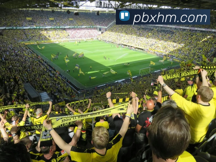 App界面